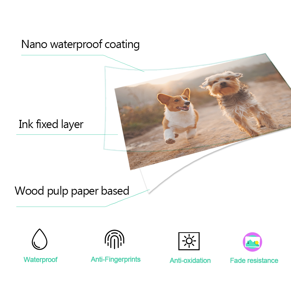 1/2/3/4/5 uds. Cartucho de tin - Commercial Photo Printer reseña y precio